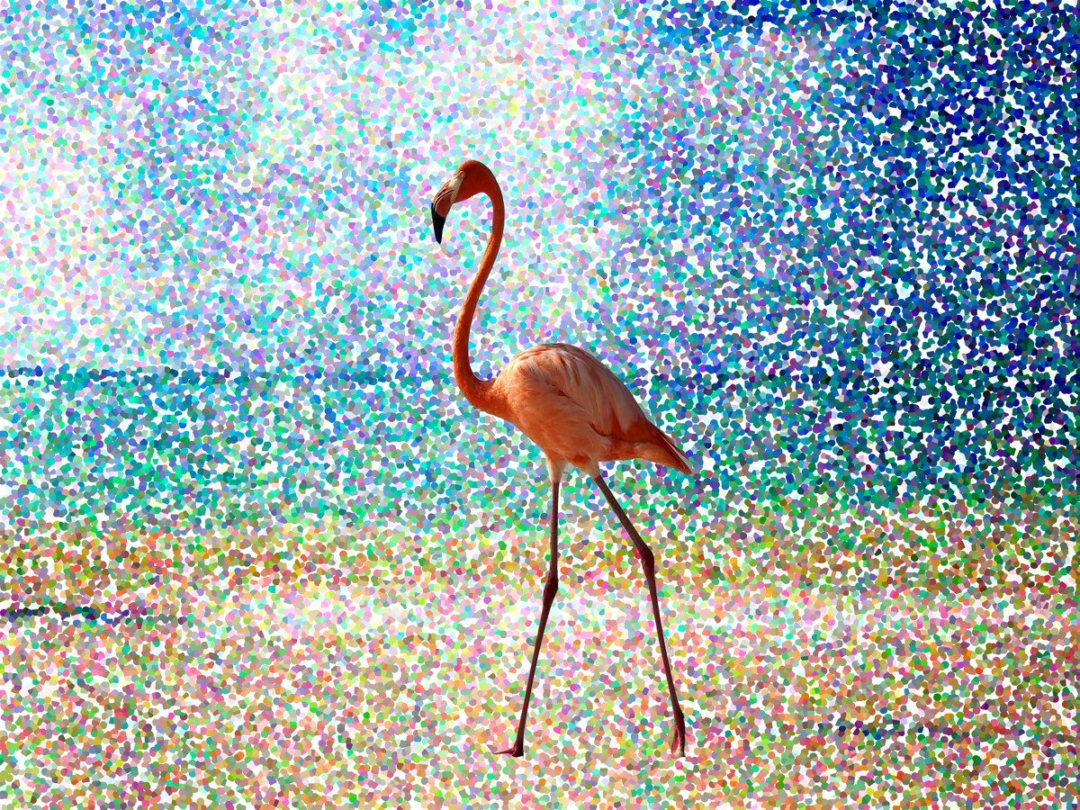 A Flamingo of an Impression - Pixel Gallery