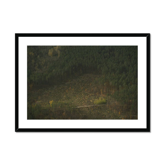New Life Framed & Mounted Print - Pixel Gallery