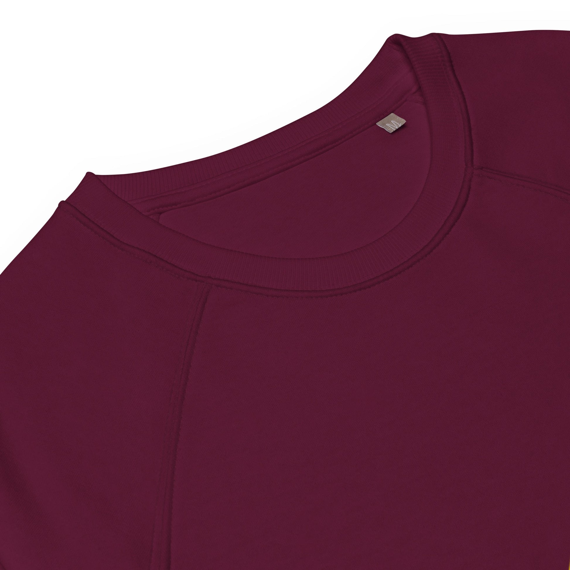 Bolt Organic Raglan Sweatshirt - Pixel Gallery