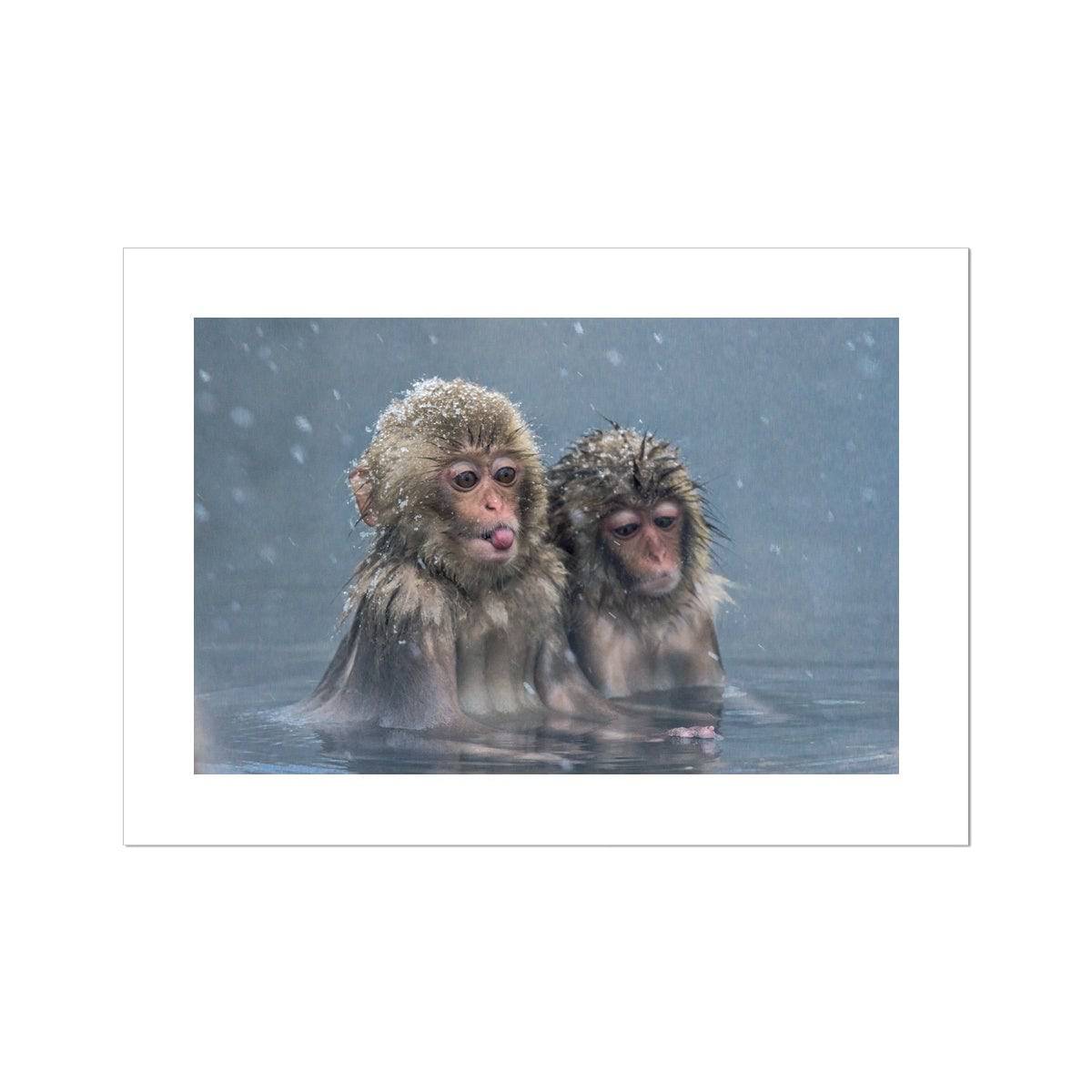 Cheeky Monkey Hahnemühle German Etching Print - Pixel Gallery