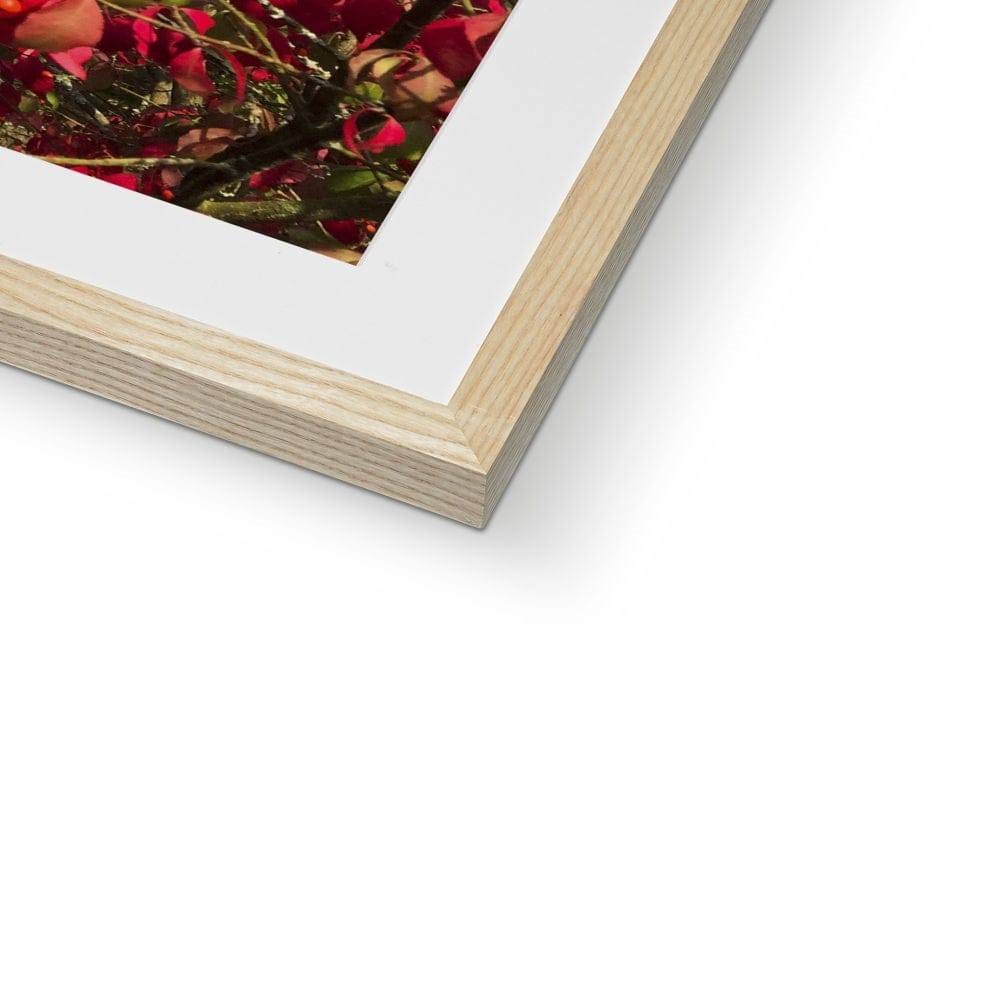 Just a dash of Red Framed & Mounted Print - Pixel Gallery