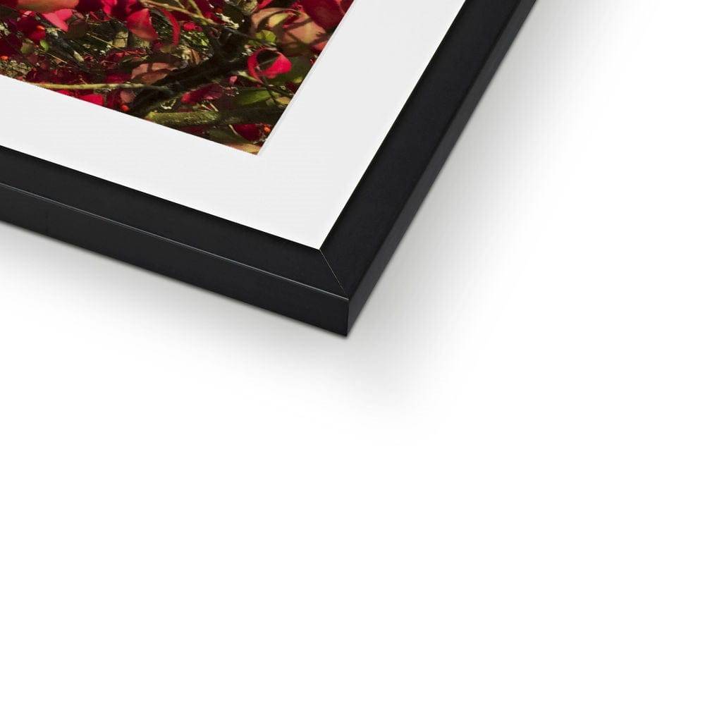 Just a dash of Red Framed & Mounted Print - Pixel Gallery