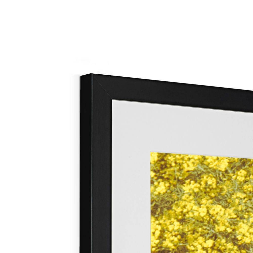 Love and Buttercups Framed & Mounted Print - Pixel Gallery