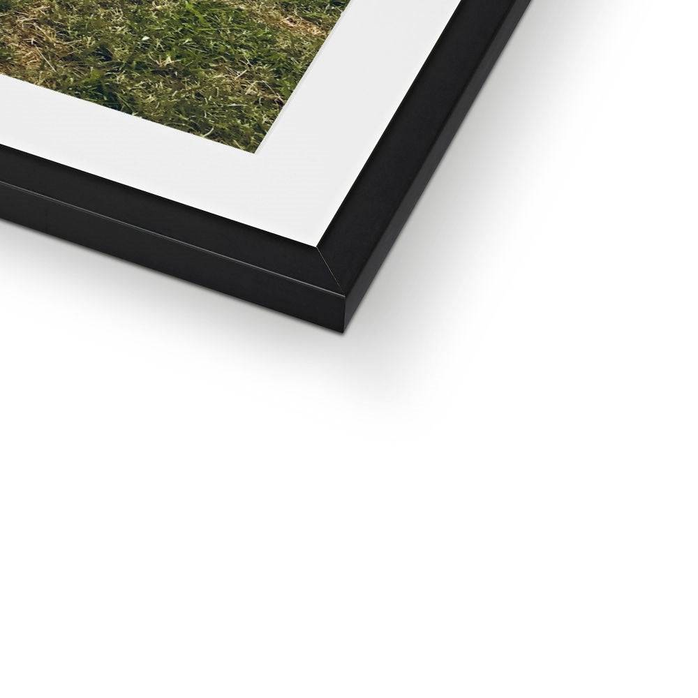 No.300 Framed & Mounted Print - Pixel Gallery