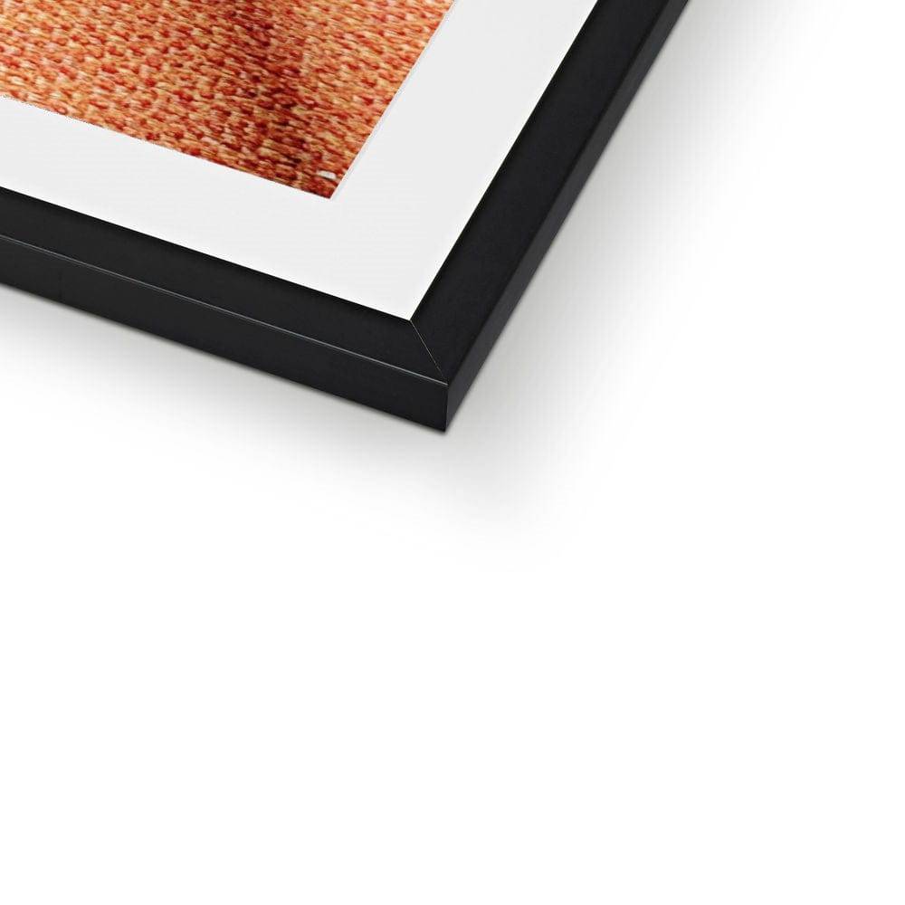 No.333 Framed & Mounted Print - Pixel Gallery