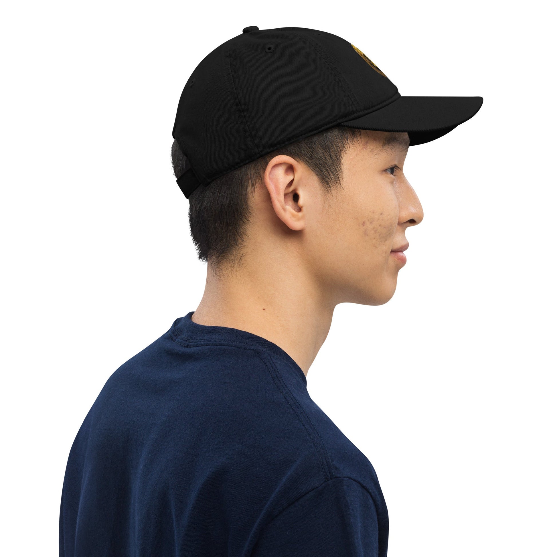 Organic dad hat - Pixel Gallery