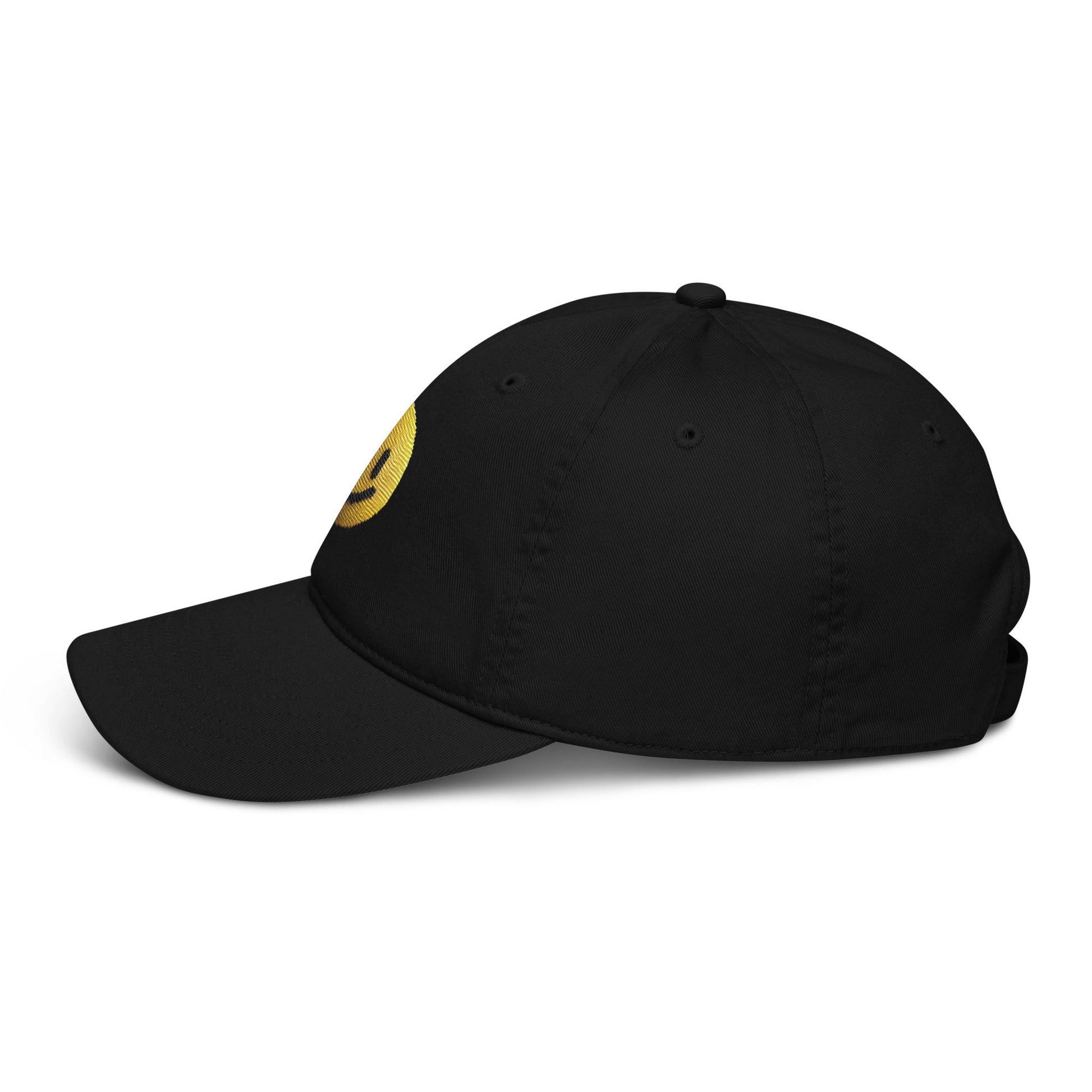 Organic dad hat - Pixel Gallery