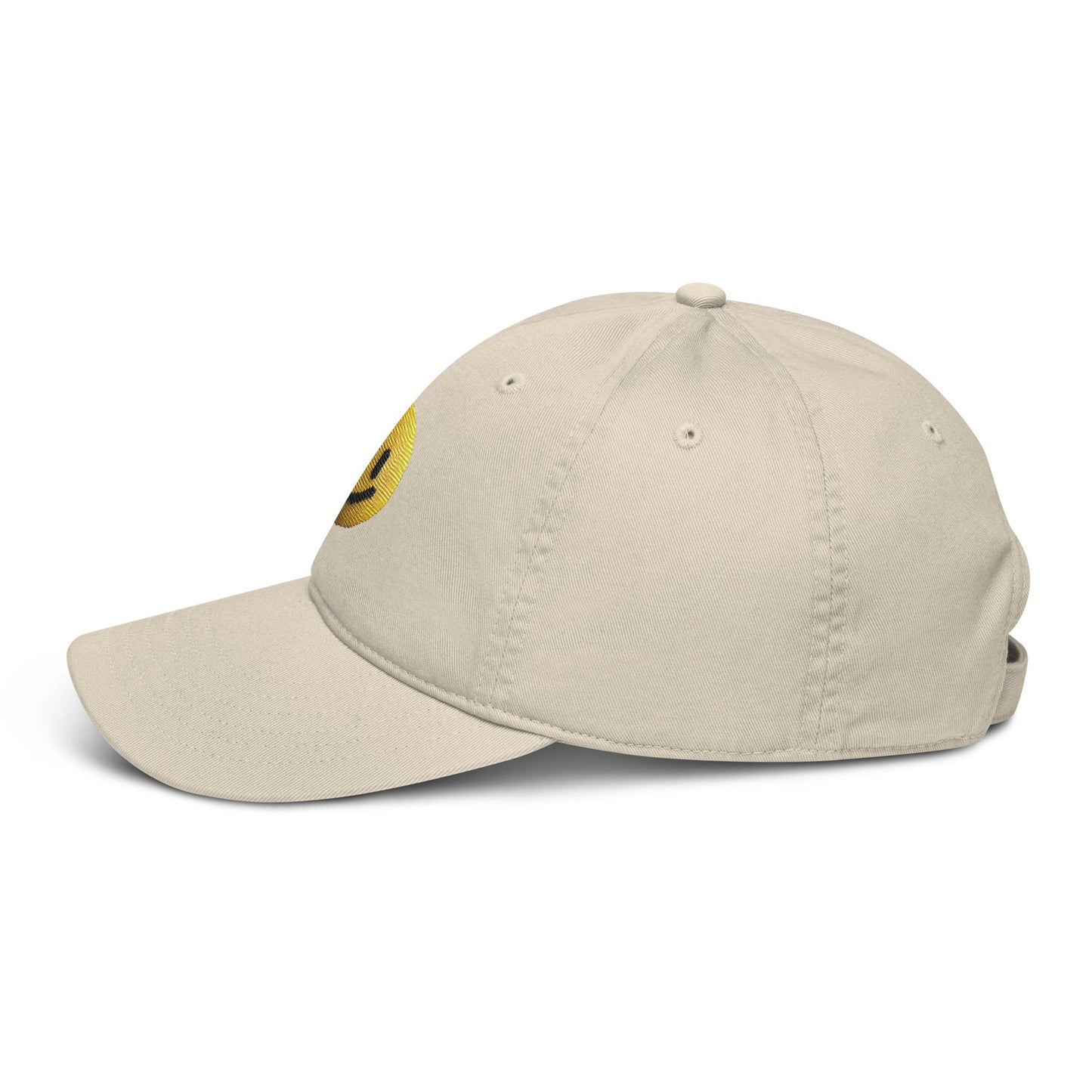 Organic dad hat - Pixel Gallery