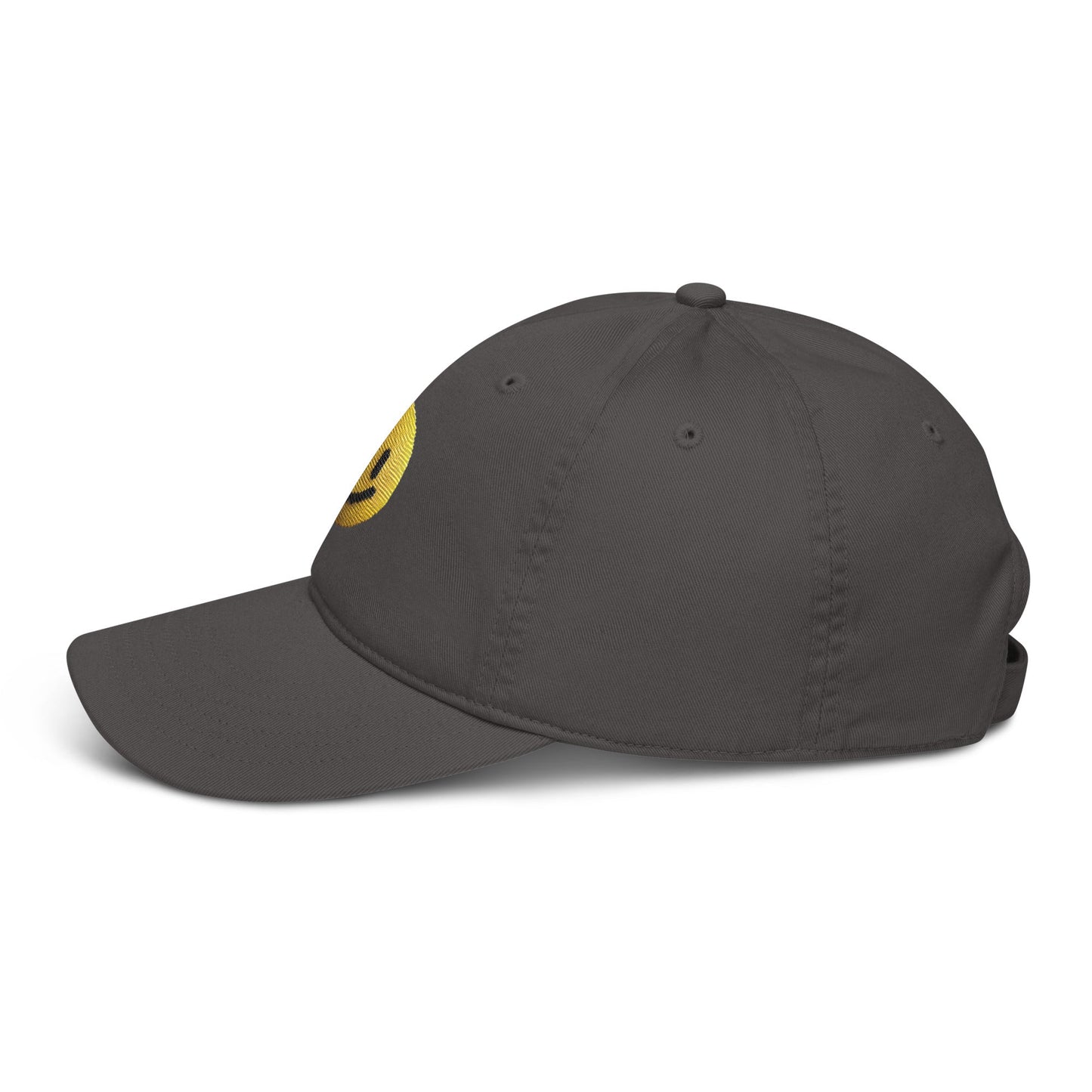 Organic dad hat - Pixel Gallery