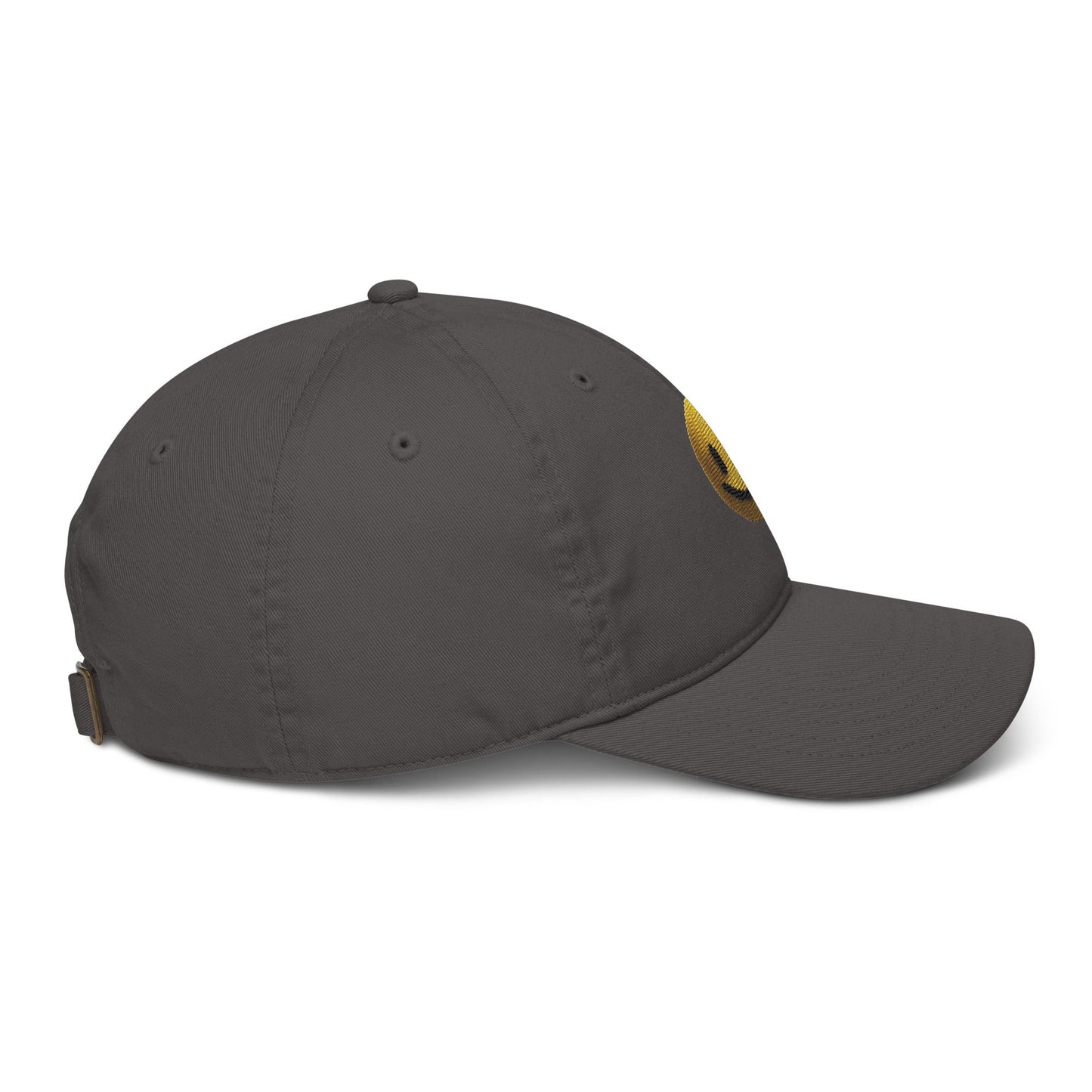 Organic dad hat - Pixel Gallery