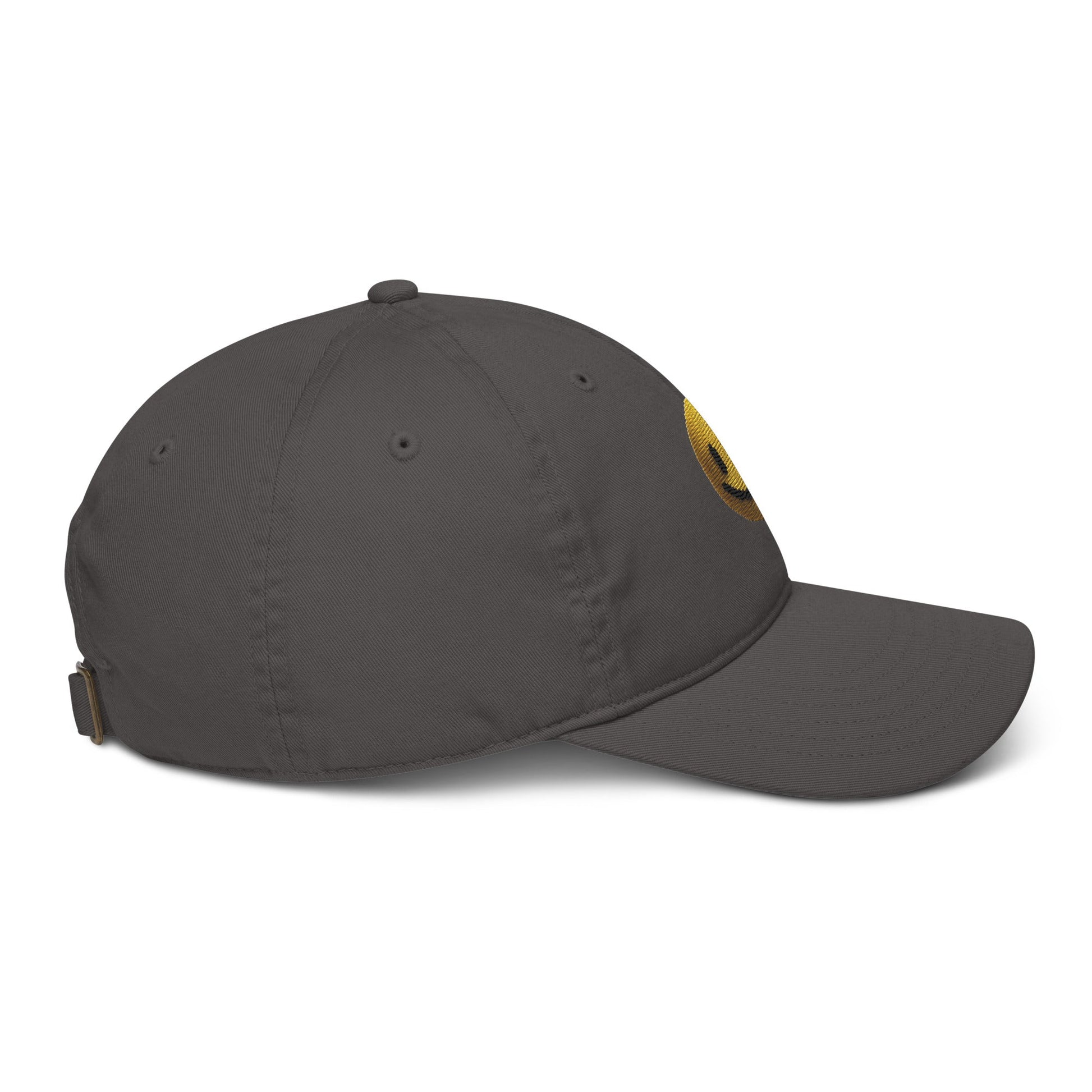 Organic dad hat - Pixel Gallery