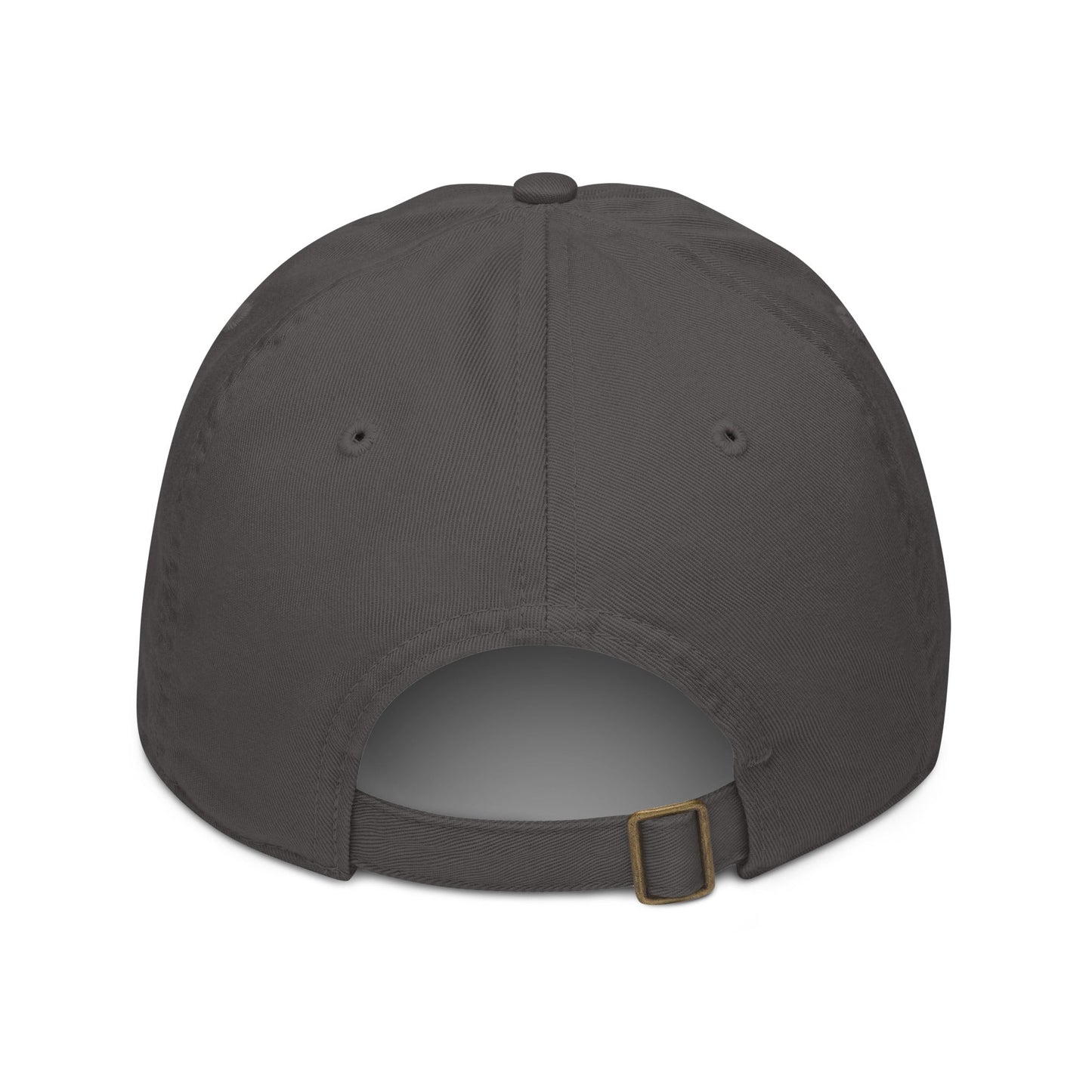 Organic dad hat - Pixel Gallery