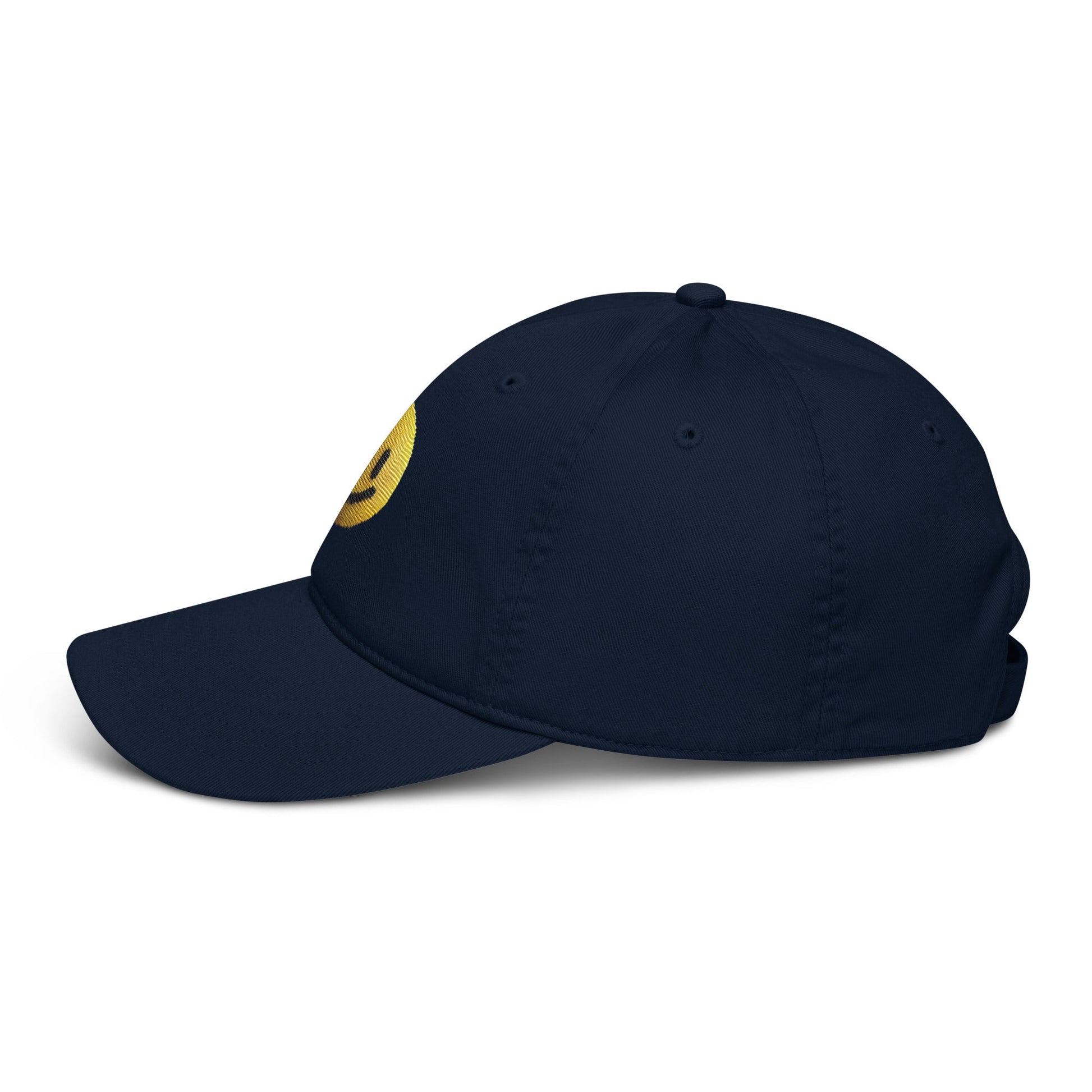Organic dad hat - Pixel Gallery