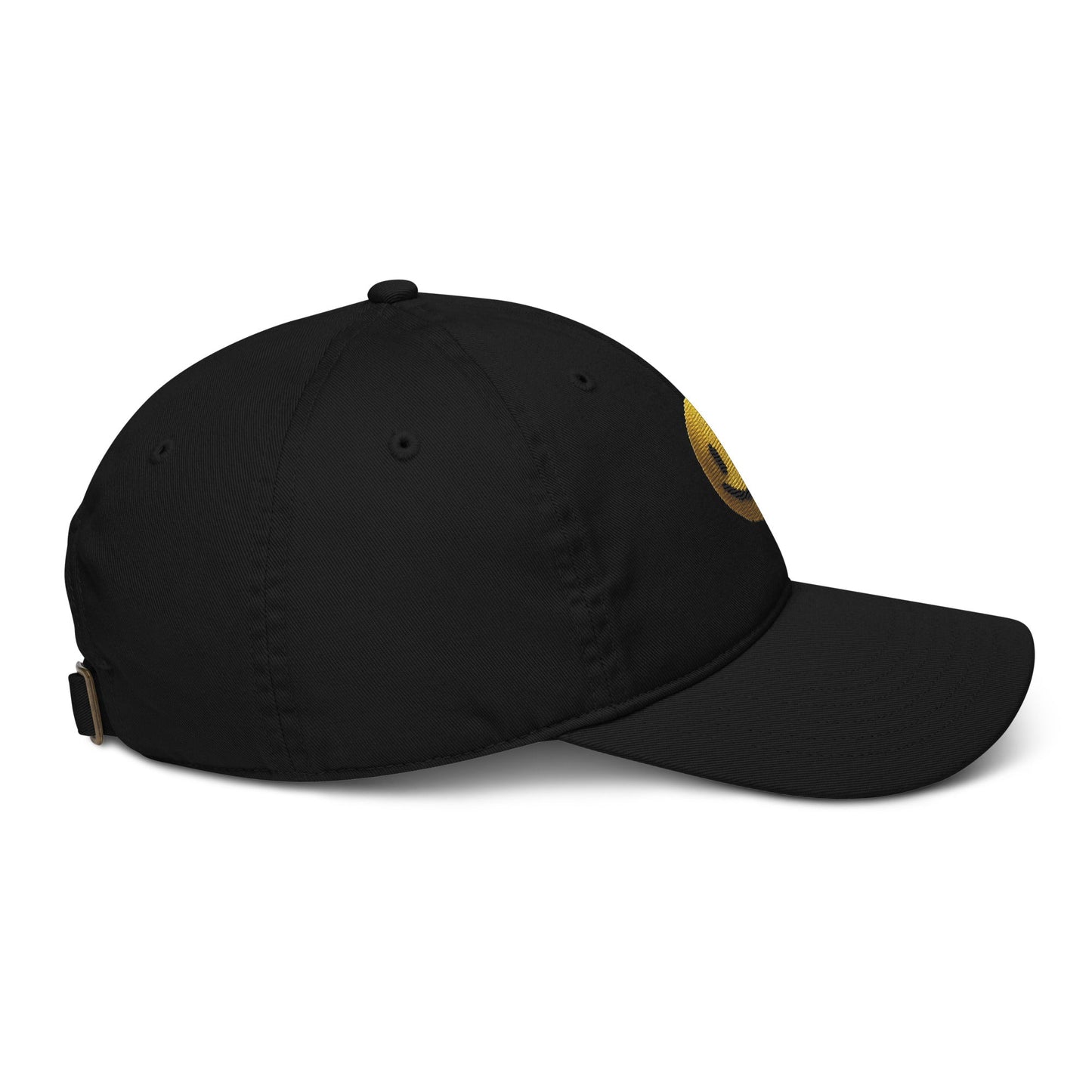 Organic dad hat - Pixel Gallery
