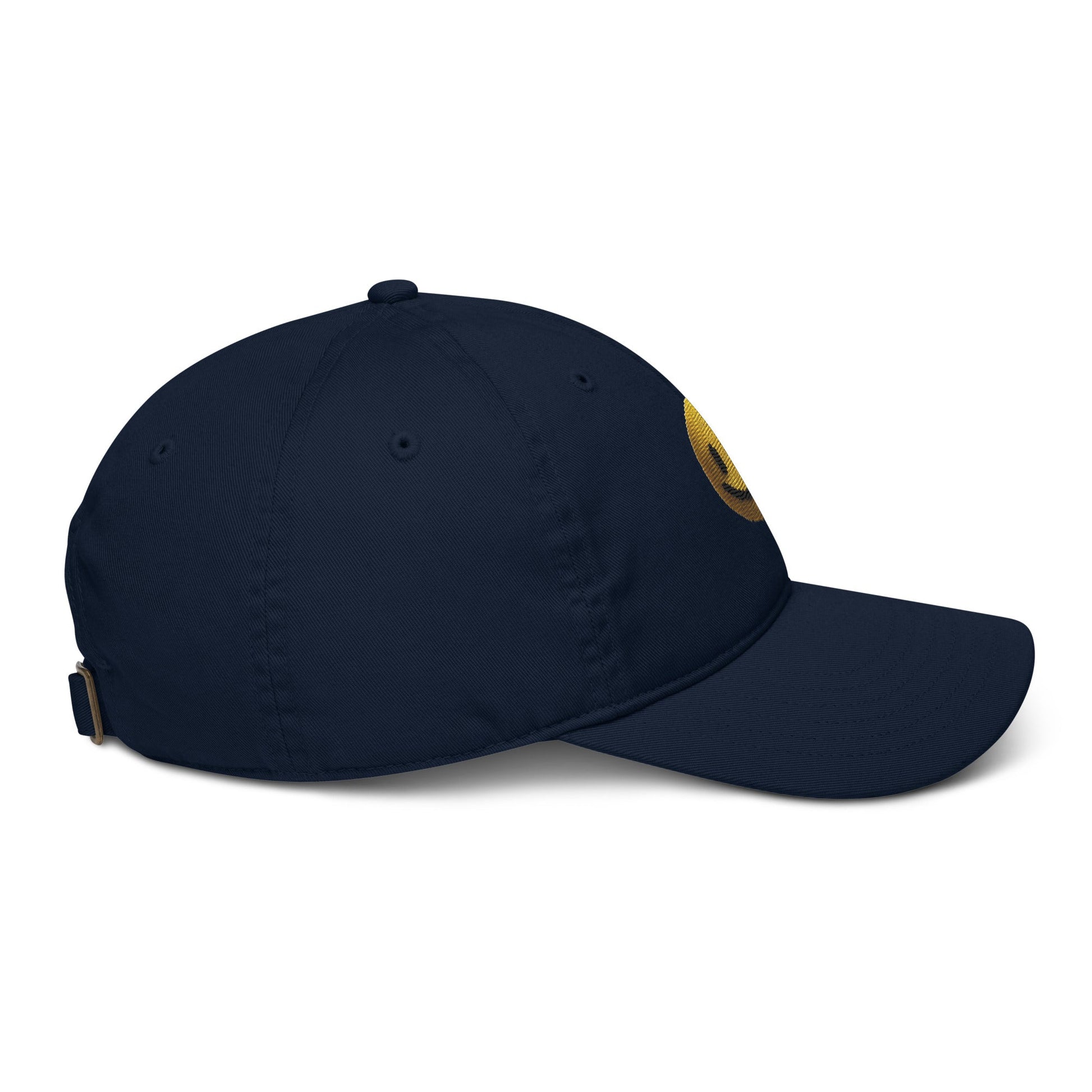 Organic dad hat - Pixel Gallery
