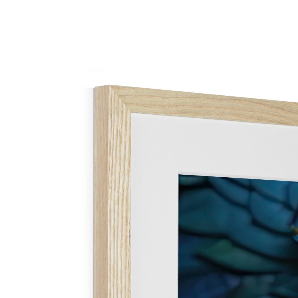 Pisces Framed & Mounted Print - Pixel Gallery