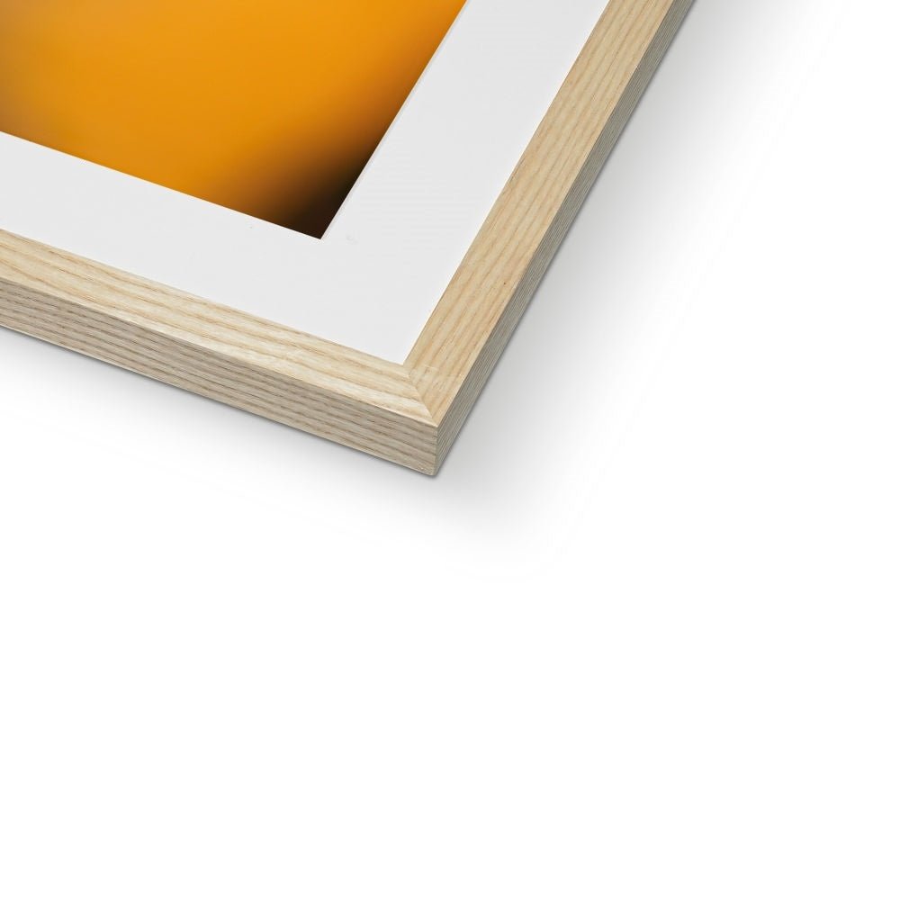 Sagittarius Framed & Mounted Print - Pixel Gallery