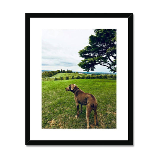 No.300 Framed & Mounted Print - Pixel Gallery