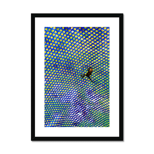 The Prince Framed & Mounted Print - Pixel Gallery
