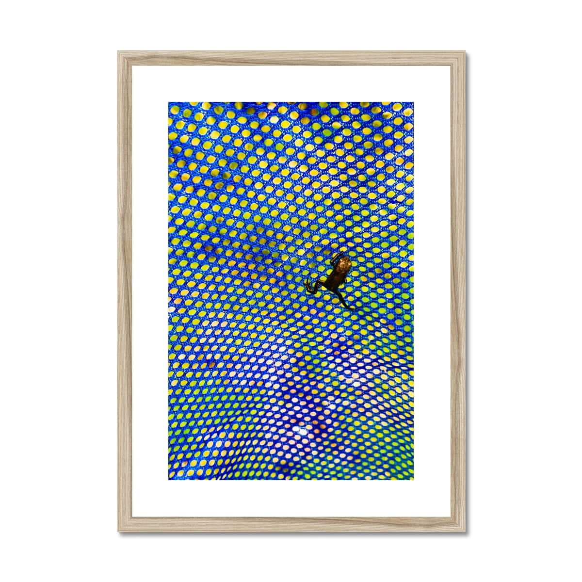 The Prince Framed & Mounted Print - Pixel Gallery