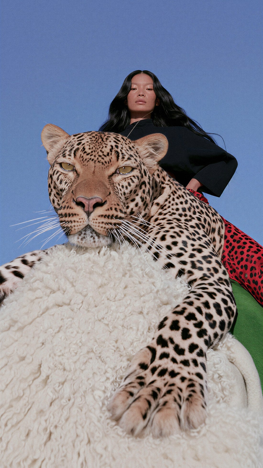Editorial frame, model with leopard, low angle